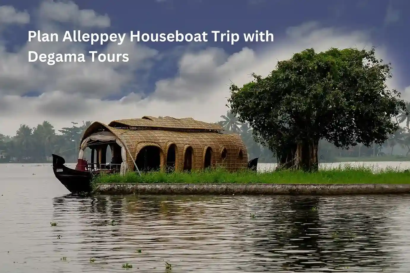 a traditional houseboat floating on calm waters, with lush greenery and a tree in the background under a cloudy sky. 