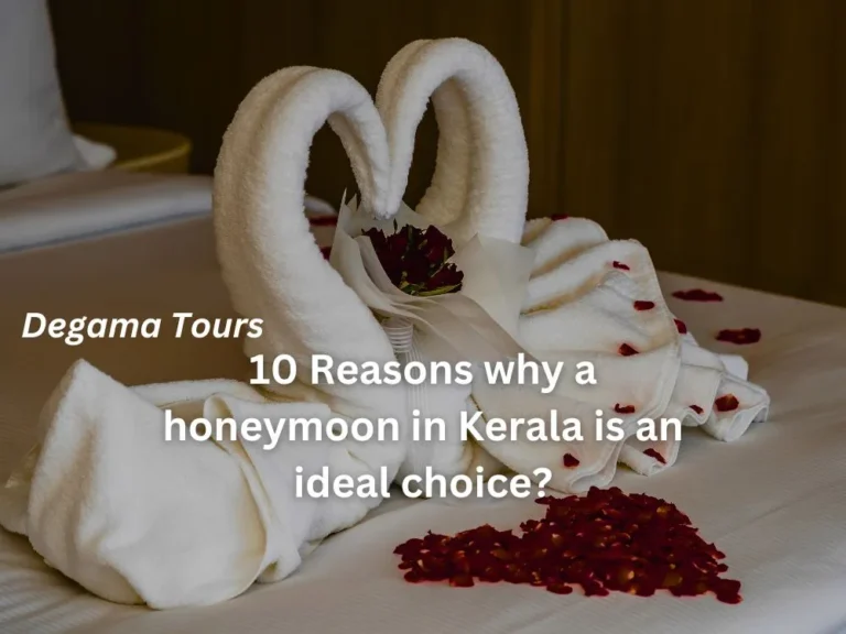 10 Reasons why a honeymoon in Kerala is an ideal choice